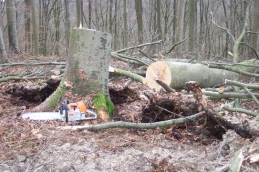 7_fundort_erloschen.jpg 7_fundort_erloschen.jpg