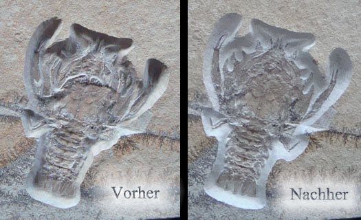 eryon_vorher_nachher.jpg eryon_vorher_nachher.jpg