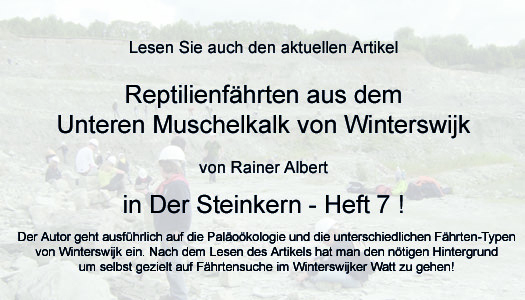 rainer_albert_in_der_steinkern_heft7.jpg rainer_albert_in_der_steinkern_heft7.jpg