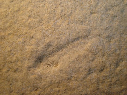02.jpg 02.jpg