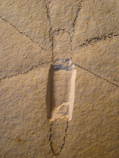 04.jpg 04.jpg