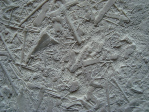 08.jpg 08.jpg