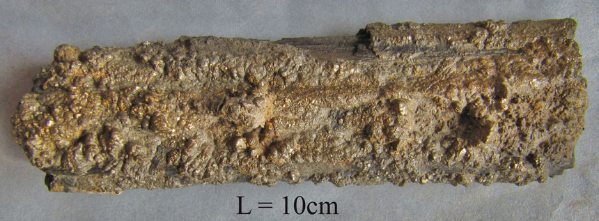 Pyritisiertes Holz