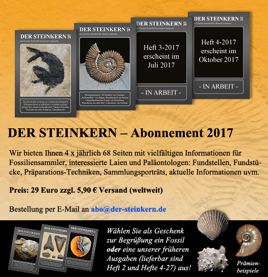 jahresabo2017 der steinkern
