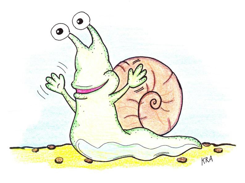 Schnecke