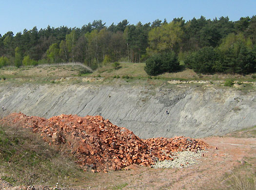 resse4.jpg resse4.jpg
