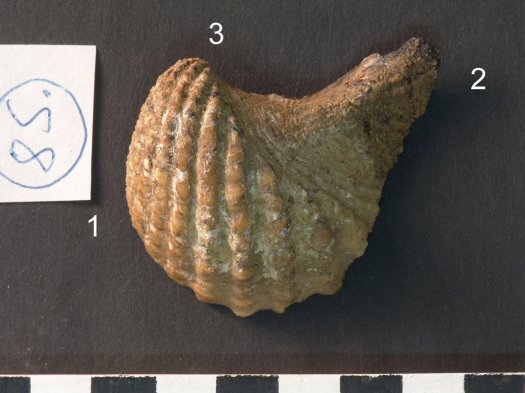 K_0085_01_Kopie.jpg K_0085_01_Kopie.jpg