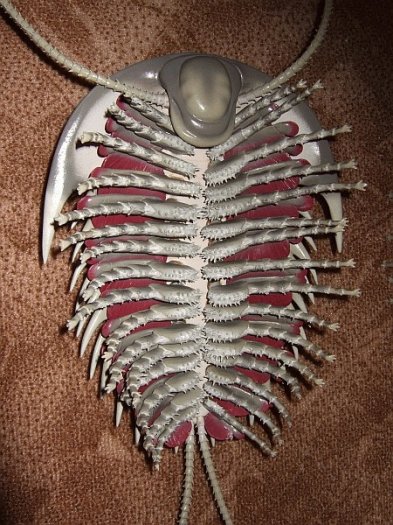 09.jpg 09.jpg