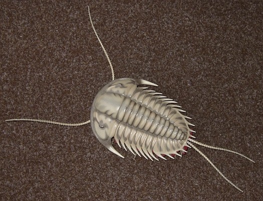 16.jpg 16.jpg