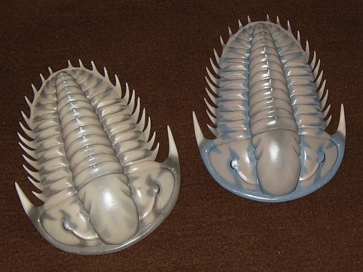 19.jpg 19.jpg