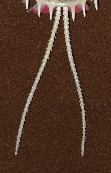 23.jpg 23.jpg