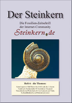 heft6_der_steinkern.jpg