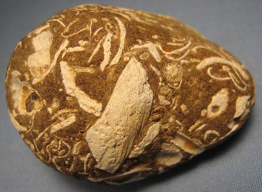 Holsteiner Gestein