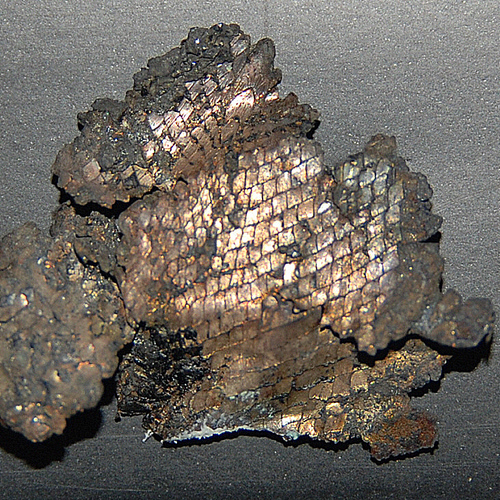 Palaeoniscum (Kupferschieferhering) in Silber