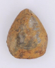 Avonothyris langtonesis