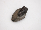 Carapax von einem Krebs