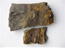 Fossiles Holz
