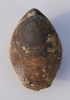 Ornithella lagenalis