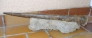 Megatheutis