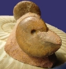 Oxycerites und Oecotraustes