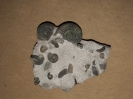 Stufe aus der Glaukonitbank