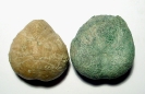 Seeigel (Collyrites?)