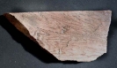 Fossiles Holz