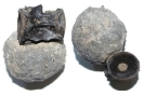 Fischwirbel auf Phosphoritknolle