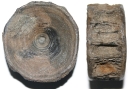 Haiwirbel Carcharias sp.