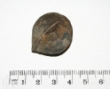 phosphorisierte und verkieselte Nuß; Carya sp.