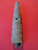 Terebra (Myurellina) neglecta (MICHELOTTI 1847)