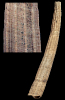 Fissidentalium twistringense R. Janssen, 1989