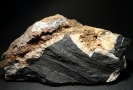 Fossil und Mineral