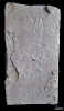 Spurenfossil von Undichna sp.