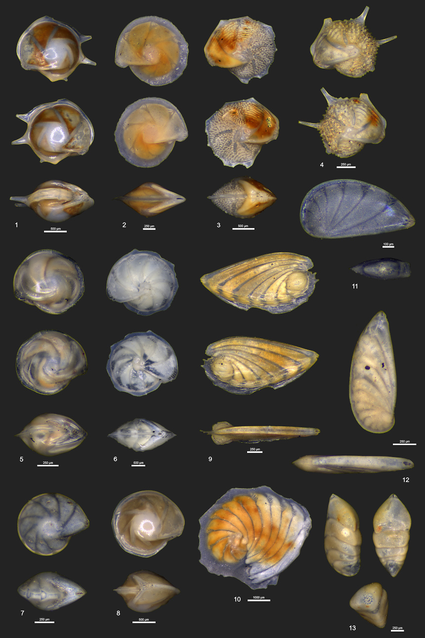 Tafel02 klein