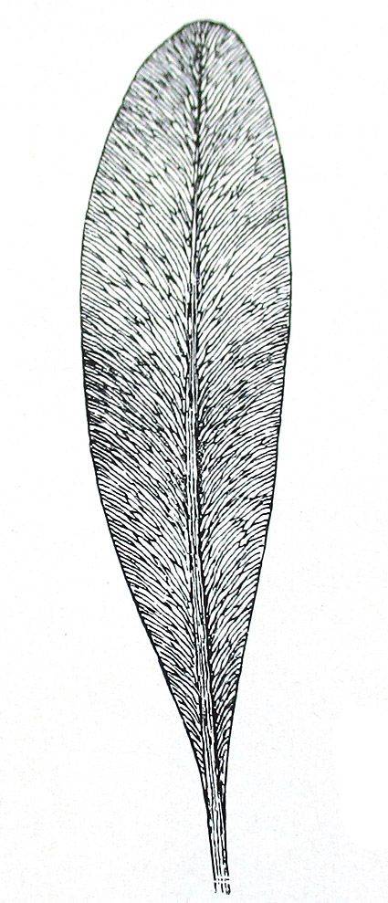 Bild2