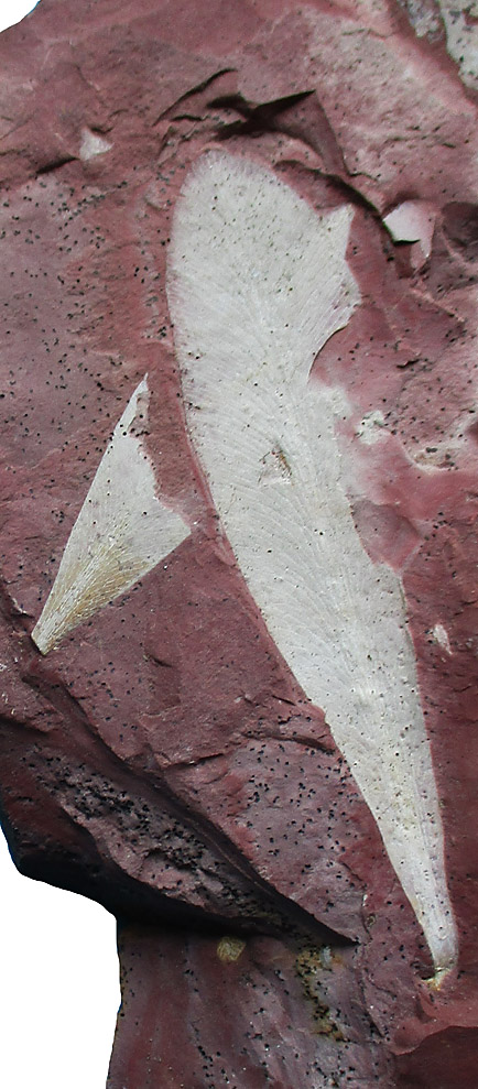 Bild3