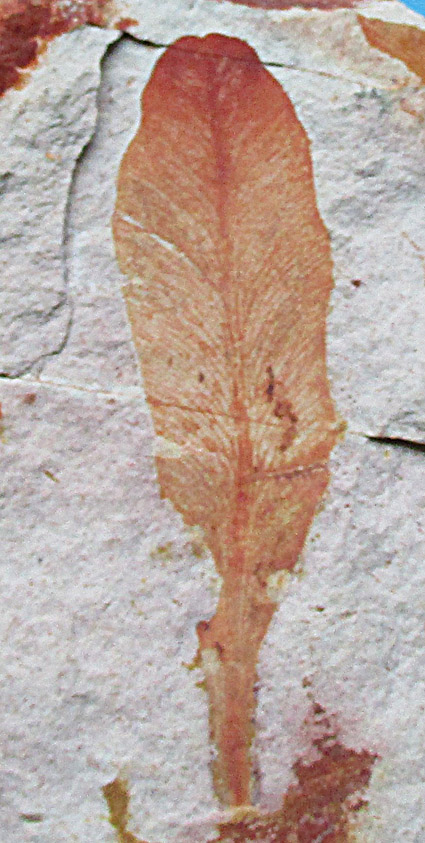 Bild4