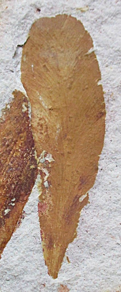 Bild6