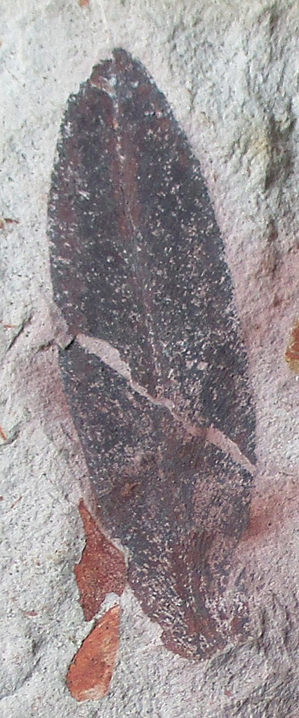Bild7