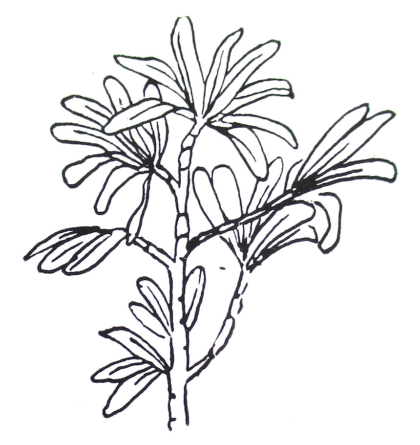 Bild8