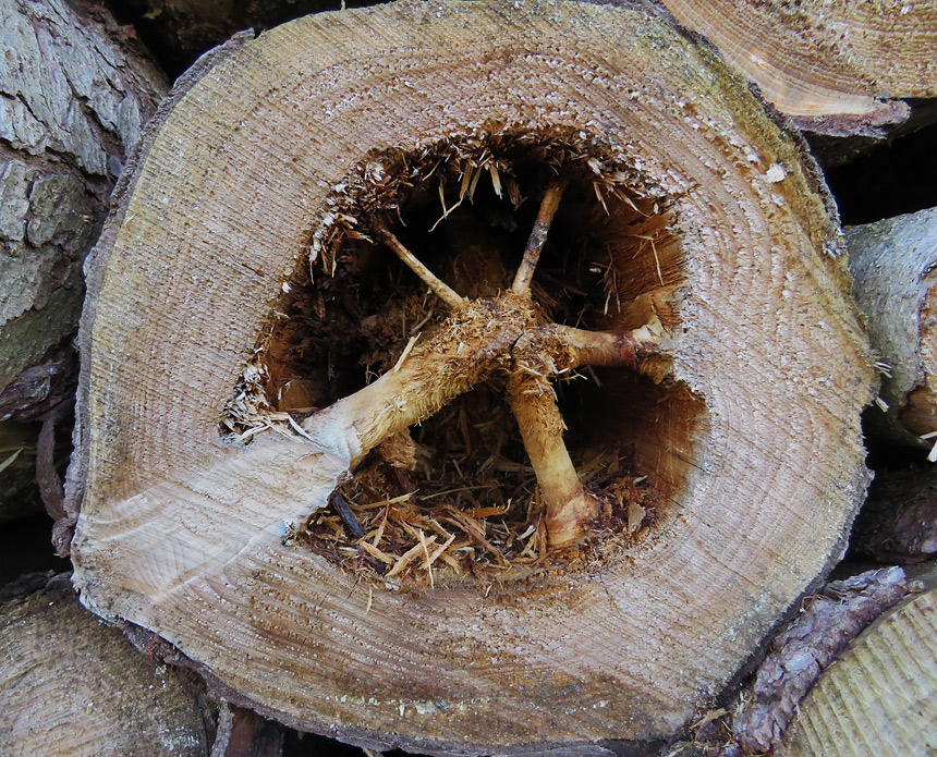 Abb 08 860px