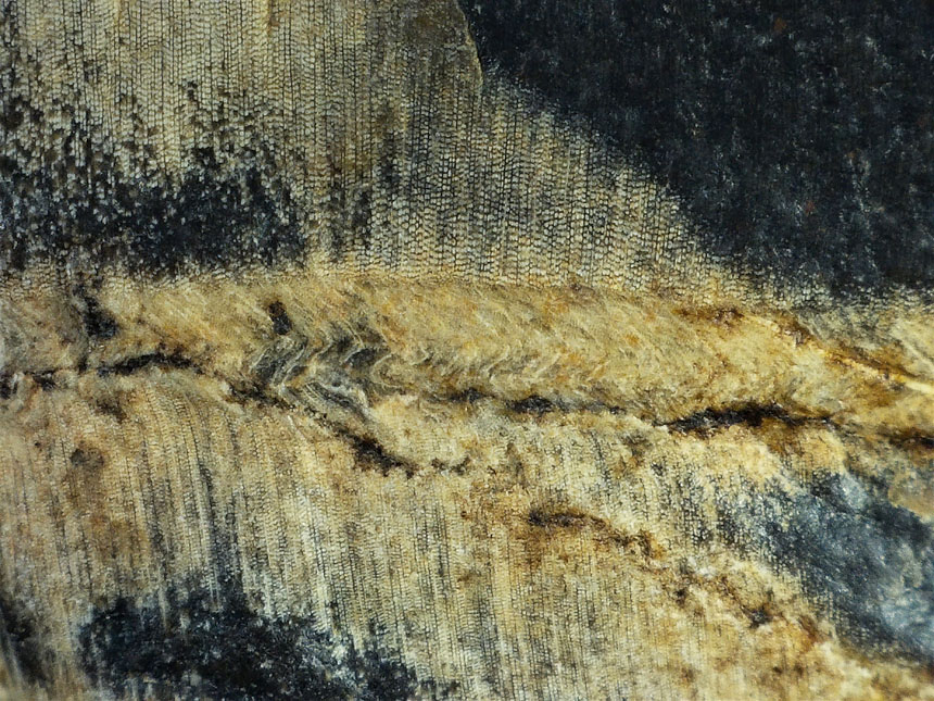 Abb 21 860px