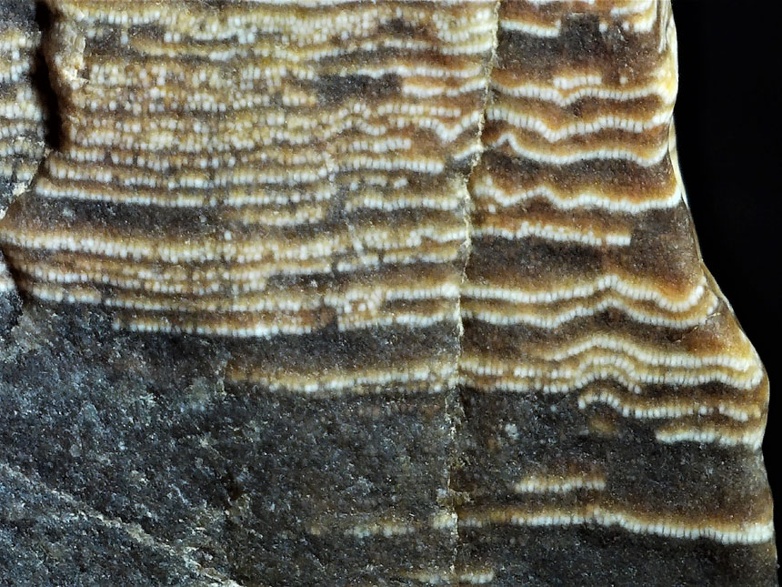 Abb 25 860px