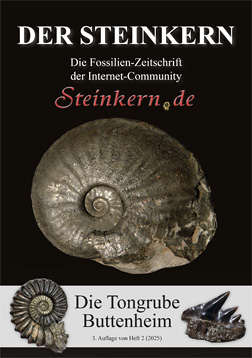 Heft 2 (Überarbeitete Neuauflage) - Der Steinkern 