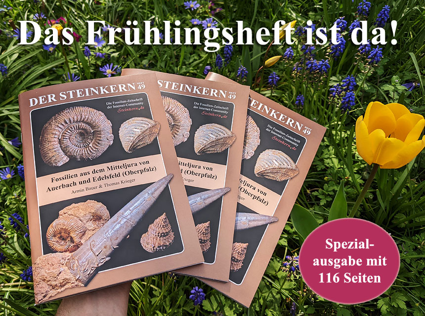 Heft49 Mitteljura Oberpfalz kl