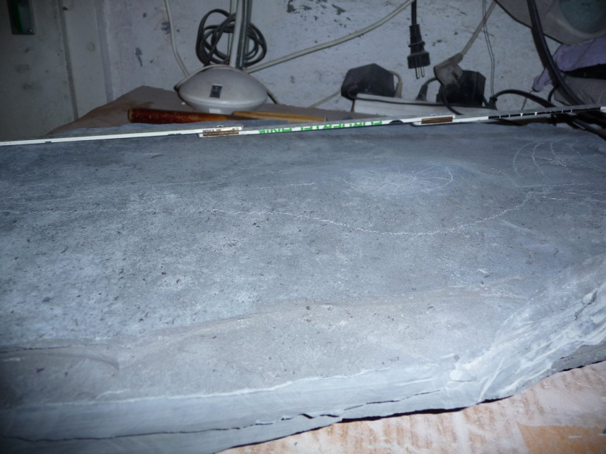 P1000589